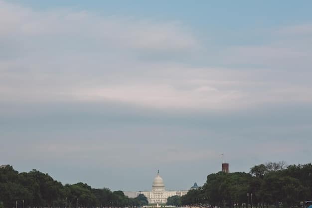 White House Response to Stock Market Volatility: A Detailed Briefing
