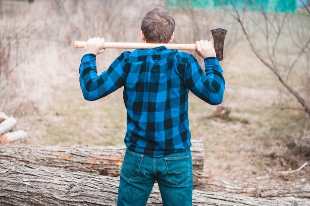 A split image showing contrasting approaches: on one side, an axe chopping a budget labeled 