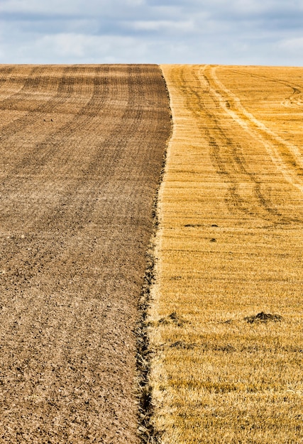 A split image showing two farms: one in the US with unsold crops piled up, and another in China with booming production. The image symbolizes the shift in trade dynamics and the impact on American farmers.