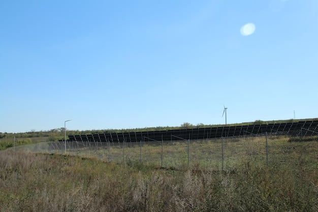 A solar panel farm with wind turbines in the background under a clear blue sky, symbolizing the growth and potential of the renewable energy sector amidst policy challenges from the Trump Administration.